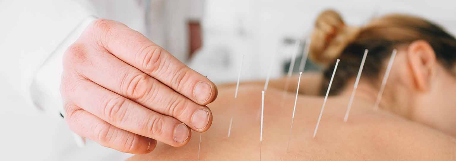 Acupuncture Practitioner Diploma Program International Academy of